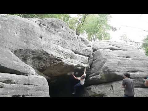 Brutus maximus - Eridge green- 8A