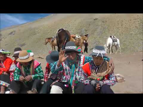 Cursussen Spaans op maat A1-C1 in Groningen, Nederland en Reizen op maat in Peru, Bolivia en Chili.