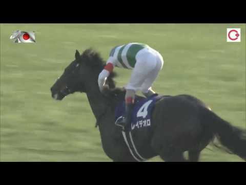 2018 秋季天皇賞 2018 Tenno Sho Autumn G1