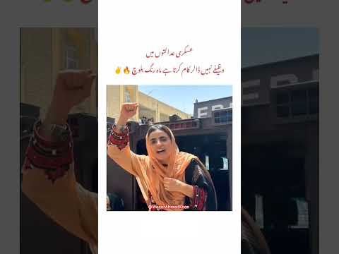 Dollar army 💵💰🖐️#shorts #youtubeshorts #ytshorts #marangbaloch #balochistan #imrankhan #pti #shorts