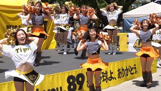 【チアリーディング】【阪神vs巨人】チアがいっぱい　阪神巨人の公式チア達の競演