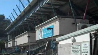 preview picture of video 'The gruff ride to grounds (31) Bluetongue, Central Coast Stadium, Gosford'