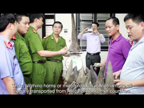 Press Conference_Maggie Q