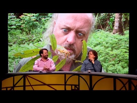 QI XL K01 - Knees & Knockers