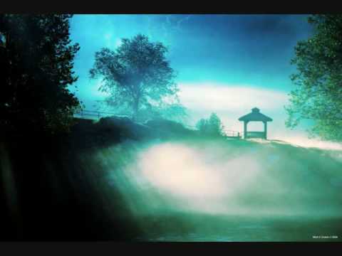 Kamil Polner - Deflector (Original Mix)