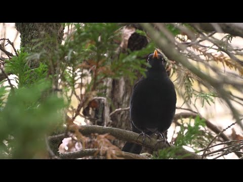 Egyheted – közéleti magazin – 2025.10.16. – Csütörtök