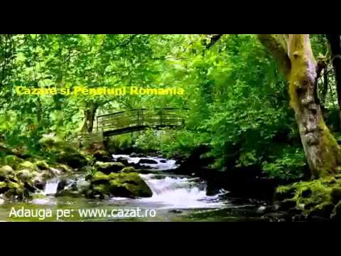 Cazare Berivoi, Brasov - Cazat.ro