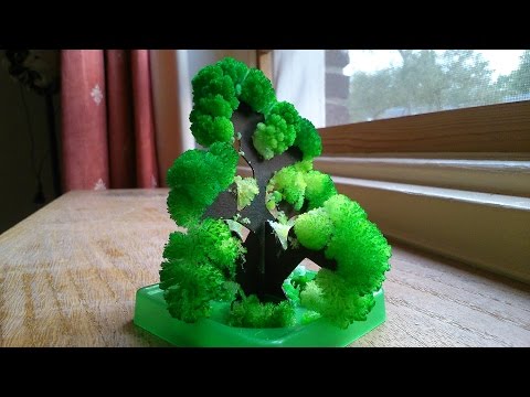 Chemistry experiment 54 - Growing a Crystal Tree (time-lapse)