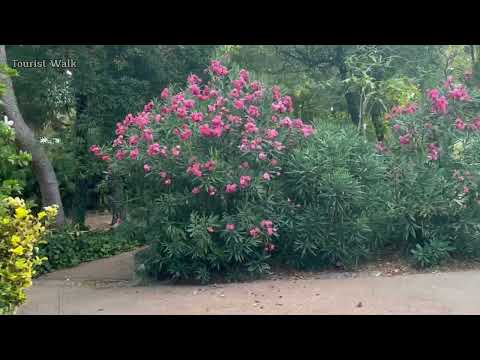 4K Silent city tour in Lisbon in Jardim da Estrela the urban charm of Portugal