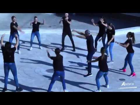 Avi Levy - Nesiya Tova - נסיעה טובה