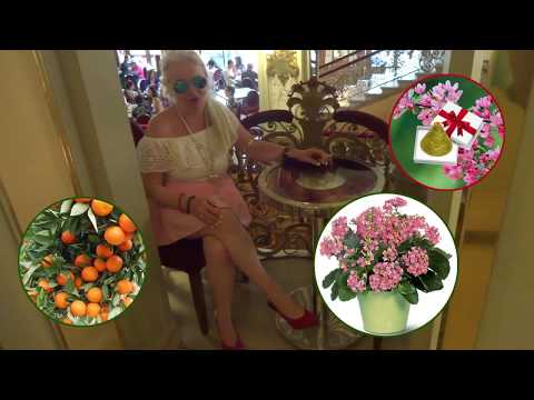 Dorota Łopatynska-de-Ślepowron and box