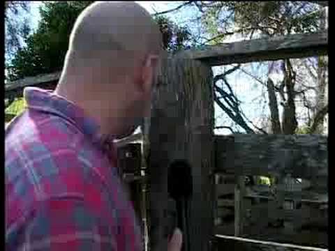 Knocked ot by Colin Meads