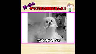 殿堂入りボケてがツッコミどころ満載だったｗｗｗ#shorts【第42弾】【ボケて】【ツッコミ】