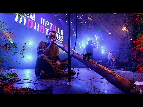 The Uptown Monotones - Live - 2017