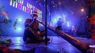 The Uptown Monotones - Live - 2017