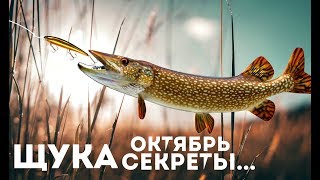 Ловля щуки на реках в октябре