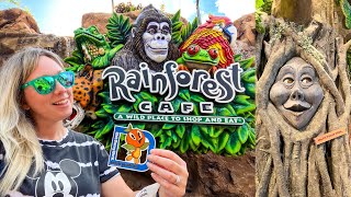 Disney Springs Rainforest Cafe 2022 Full Dining Experience! Food, Theming, Volcano, Shopping & More!