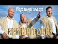 NEMURITORII Viata Tu Esti Ca O Ata Oficial Video