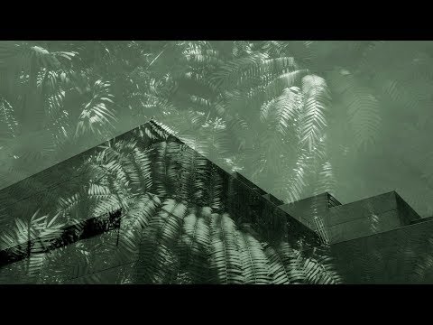 APT9/ Artist Stories: Gavin Hipkins video 'The Precinct'