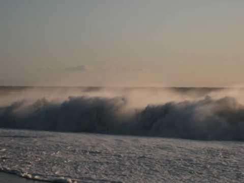 Sally Oldfield - Love Is Everywhere