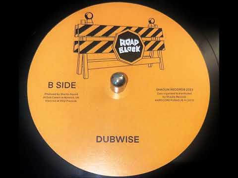 Ras Shiloh & Shanty Plus - Trodding East (Remix)