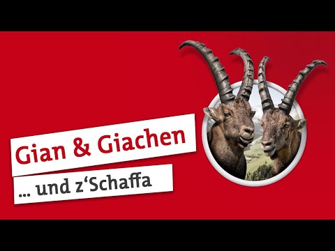 Gian und Giachen: "Schaffa"