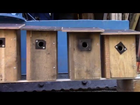 Miljoona linnunpönttöä