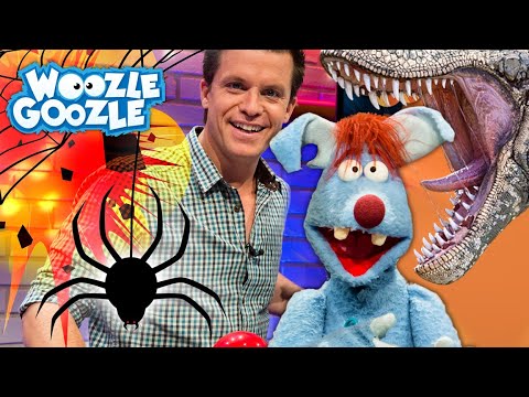 Das Beste von Woozle Goozle #1 | BEST OF TOGGO | Ganze Folgen