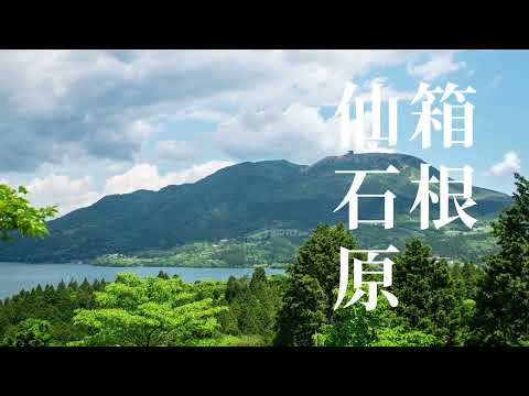 ホテル森の風箱根仙石ヶ原の魅力