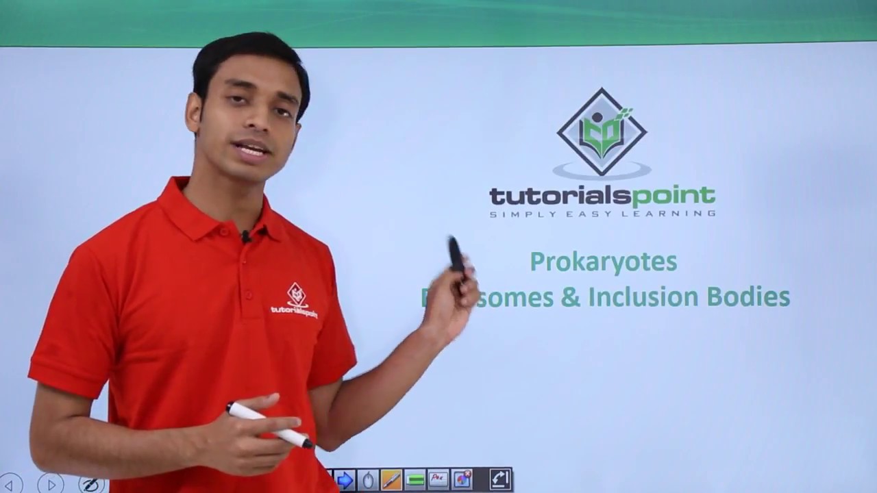 Class 11th - Prokaryotes - Ribosomes and Inclusion Bodies | Cell: The unit of Life | Tutorials Point