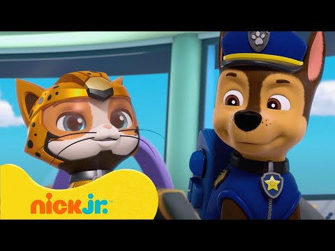 Patrulha Canina | Melhores Missões e Aventuras da Patrulha Canina com a Turma dos Gatos! | Nick Jr.