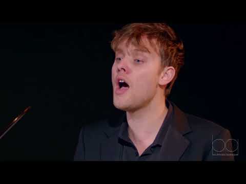 Vergnügte Ruh, Johann Sebastian Bach BWV 170 - Alexander Chance