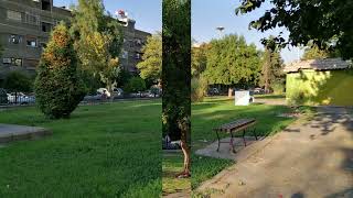 حديقة التجارة وحديقة البرامكة وحديقة النباتات في دمشق