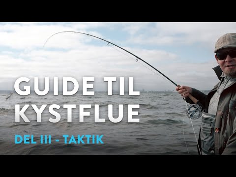 Guide til kystfiskeri efter havørred på flue: Del 3 –