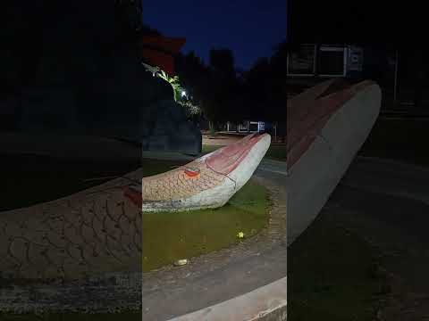 ART'S DA NÔ #VIDA AQUÁTICA #DOIS PEIXES EM DESTAQUE # COXIM -MS PANTANAL #BRASIL #VIRAL