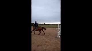 Green Light 12/9 - 14