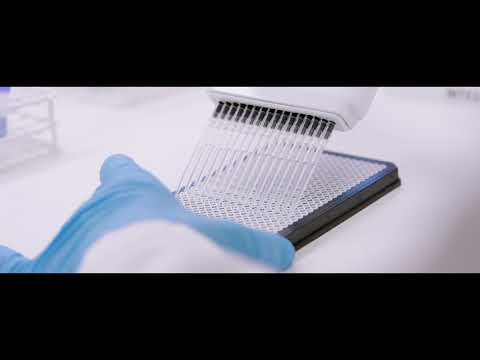 Introducing Olerup QTYPE