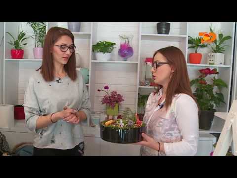 Ne Shtepine Tone, 23 Mars 2017, Pjesa 5 - Top Channel Albania - Entertainment Show