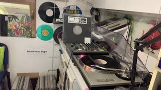 Mr. Ed Jumps The Gun - Wild Thang (Radio Version)