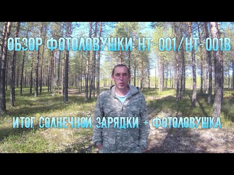 Обзор фотоловушки HT-001 и HT-001B и результат использования солнечной зарядки