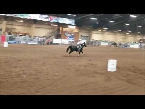Barrel Racing at Brash Rodeo