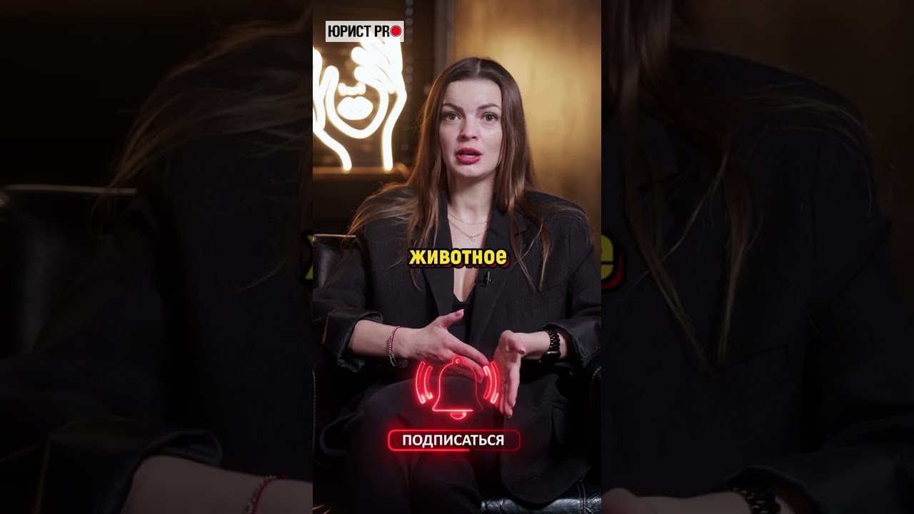 Как поделить дорогое животное при разводе?