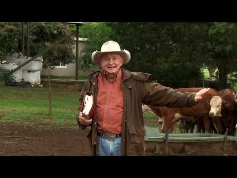 Seek The Lord - Grassroots with Angus Buchan