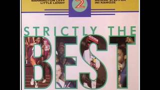 Strictly The Best 2 (Reggae Dancehall)