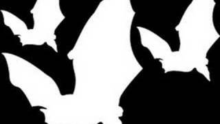 Cover art for sex beat