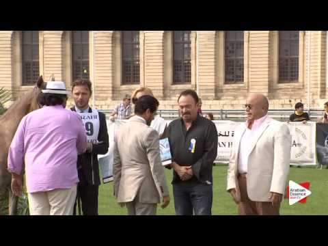 3rd Place N.69 FUERTE - Chantilly 2015 ABCE - Yearling Colts Championship (Class 14)