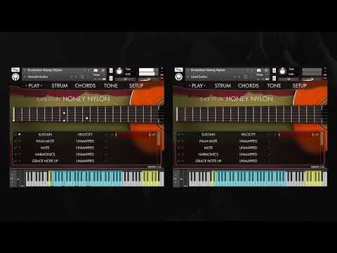 Video for Evolution Honey Nylon - Lost in The Wash