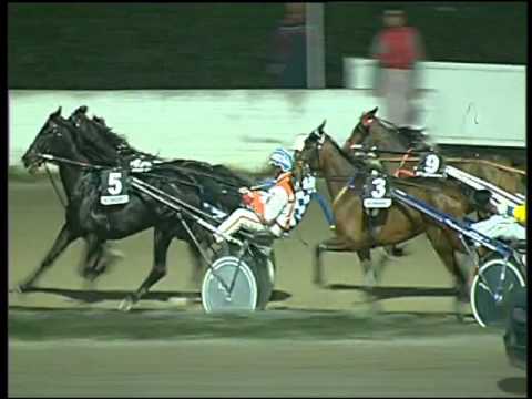 Trotto 31/12/2015 - 5° corsa