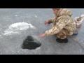 Установка сетей под лед, Запуск торпеды. fishing with nets.