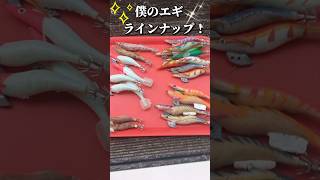 🇳🇿 ぶっちゃけどれが釣れる?ボロボロになるまで使い込んだエギ一挙公開! #shorts